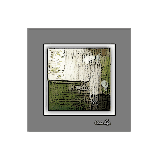 Bilder